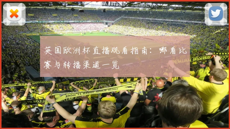 英国欧洲杯直播观看指南:哪看比赛与转播渠道一览