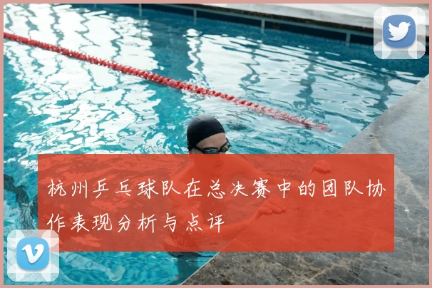 杭州乒乓球队在总决赛中的团队协作表现分析与点评