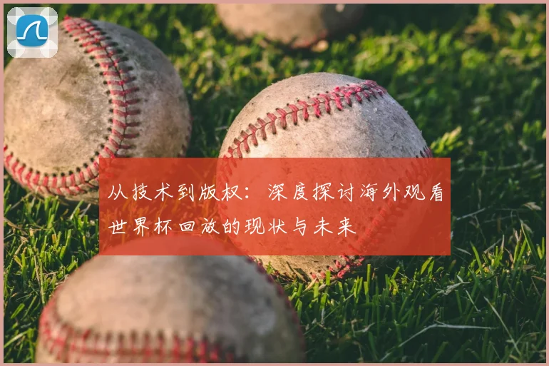 从技术到版权：深度探讨海外观看世界杯回放的现状与未来