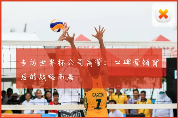 专访世界杯公司高管:口碑营销背后的战略布局