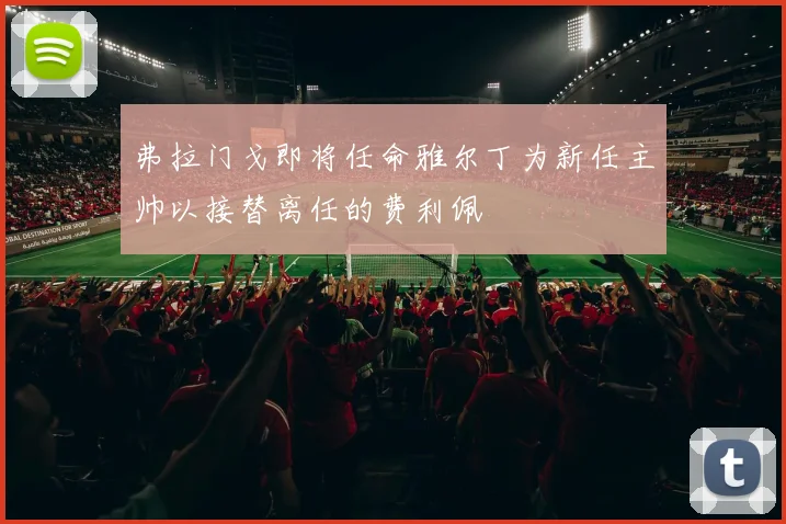 弗拉门戈即将任命雅尔丁为新任主帅以接替离任的费利佩