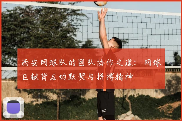 西安网球队的团队协作之道:网球巨献背后的默契与拼搏精神