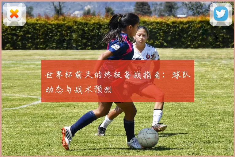 世界杯前天的终极备战指南：球队动态与战术预测
