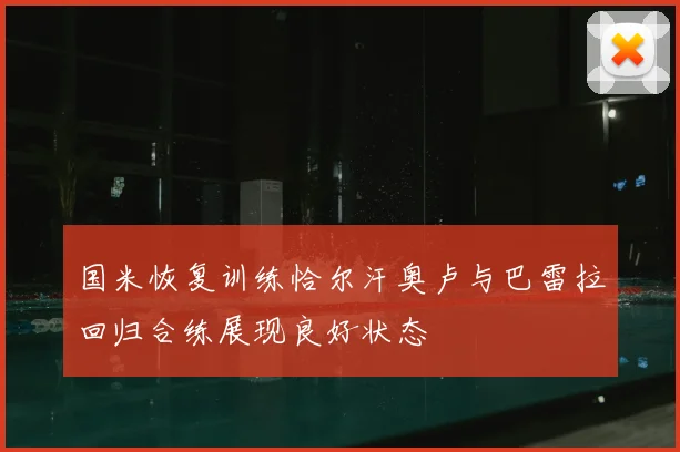 国米恢复训练恰尔汗奥卢与巴雷拉回归合练展现良好状态