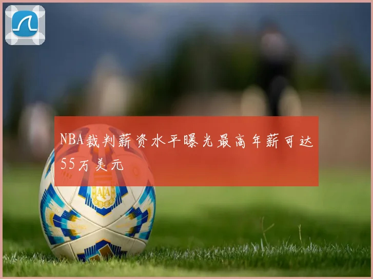 NBA裁判薪资水平曝光最高年薪可达55万美元