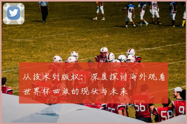 从技术到版权：深度探讨海外观看世界杯回放的现状与未来