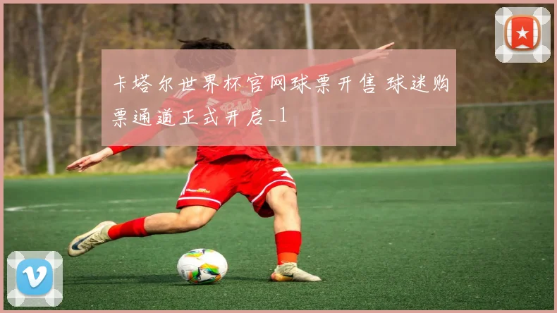 卡塔尔世界杯官网球票开售 球迷购票通道正式开启_1