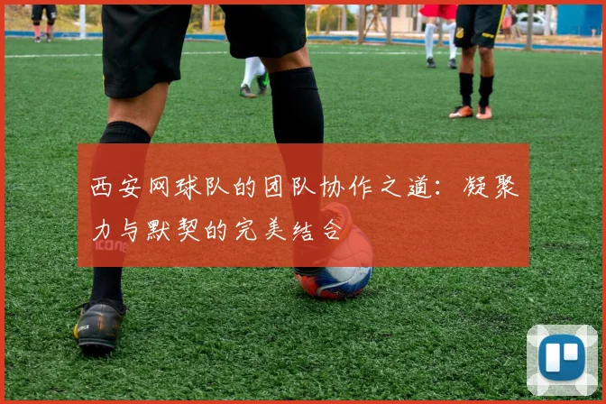 西安网球队的团队协作之道:凝聚力与默契的完美结合